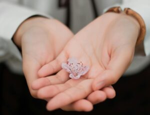 Open hands holding a soft pink flower, symbolizing care, healing, and self-compassion.