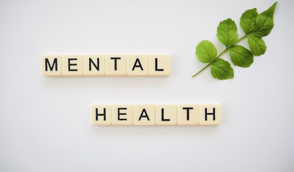 Image with cream-colored letter tiles spelling “MENTAL HEALTH” on a white background, with a small green leafy branch placed to the right side—symbolizing growth and wellness.
