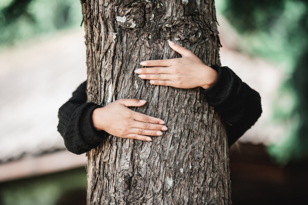 Close-up of a person hugging a tree, symbolizing grounding and connection with nature as a self-regulation practice.