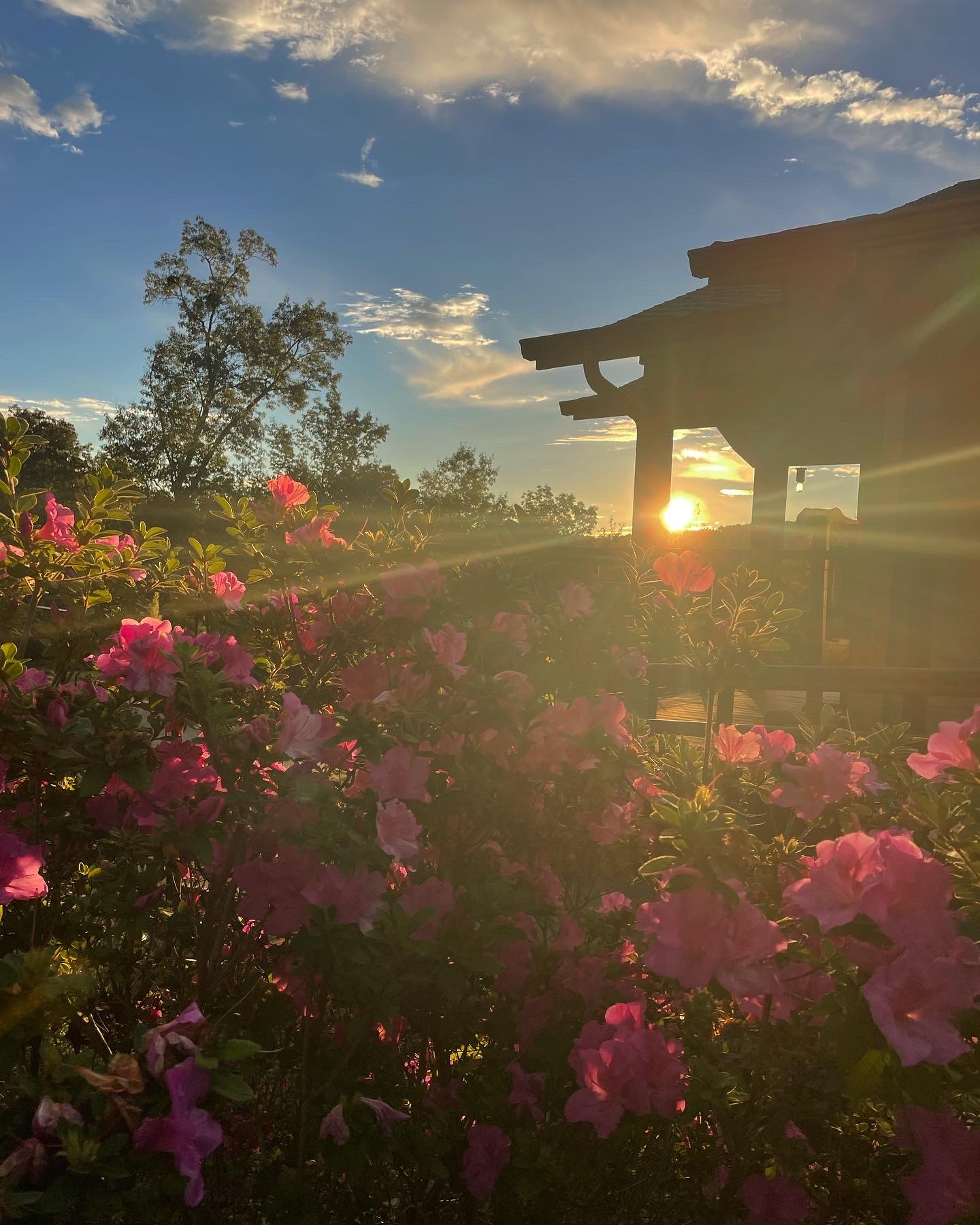 A quiet corner of the Elohee property