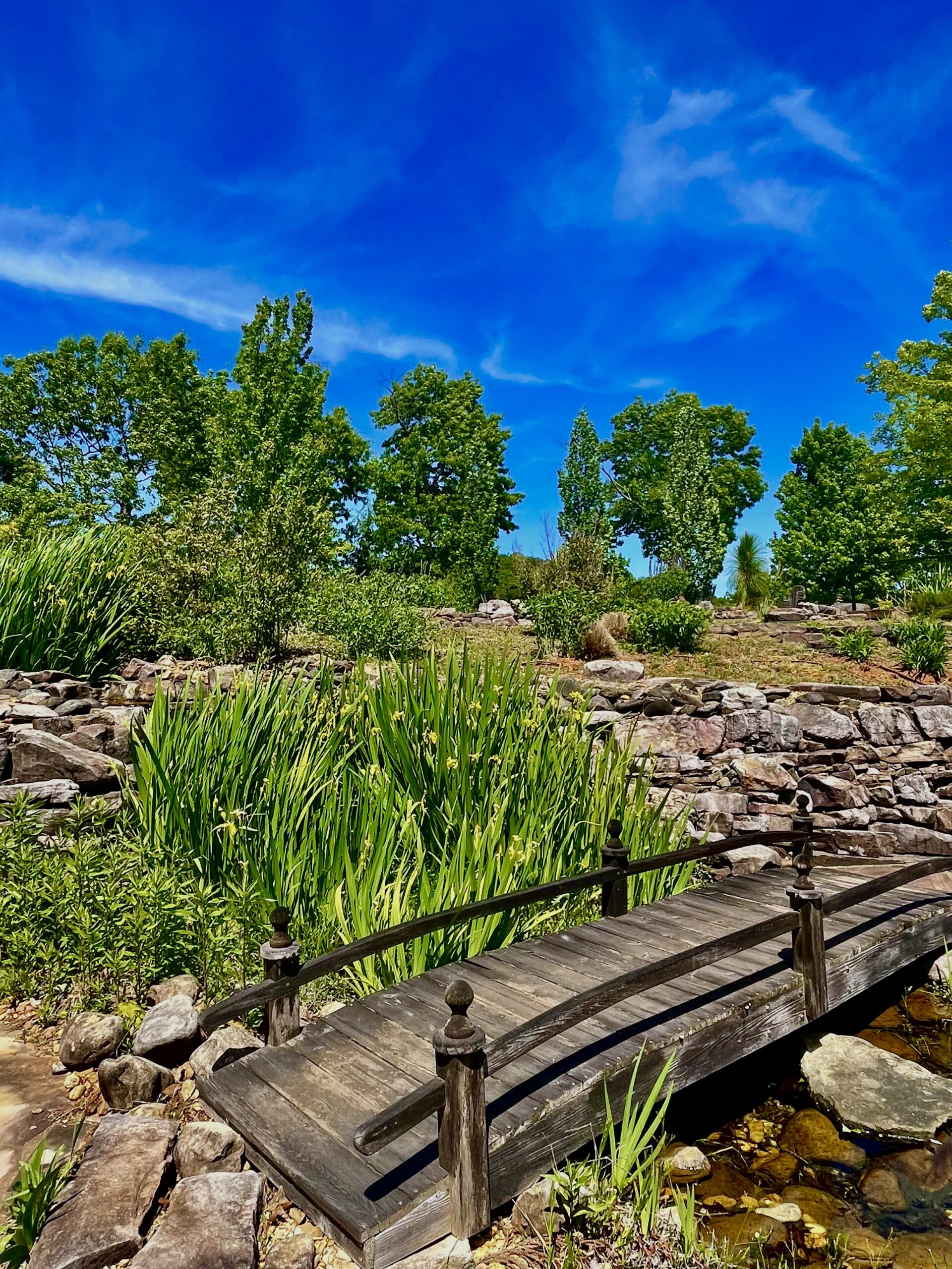 A quiet moment at Elohee Retreat Center